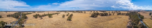 Wide aerial panorama of yellow grasslands and scattered trees in Victoria, Australia