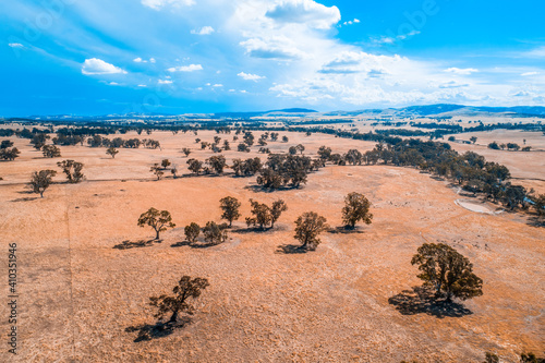 Trees scattered on yellow grasslands in Australia