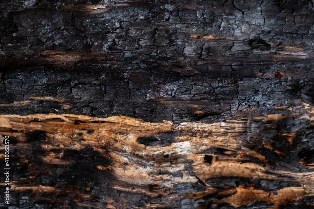 Burnt texture wood charcoal background. heap Burnt texture wood charcoal background. heap