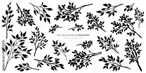 Branches sketch set. Hand drawn graphic plants. Vector illustration of different branches isolated on white background