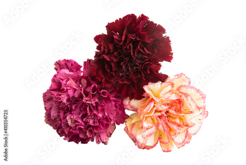 bouquet of carnations isolated