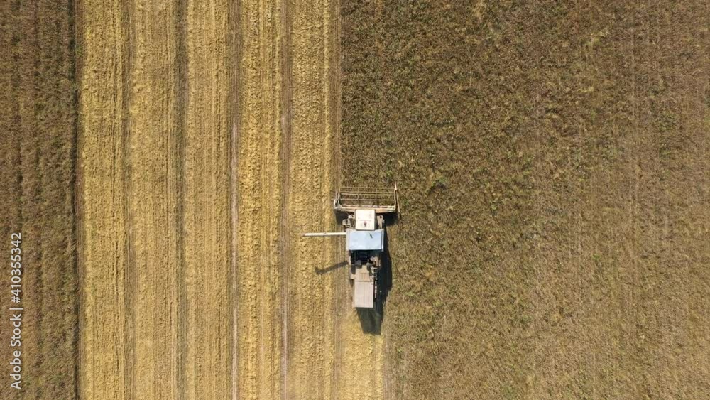 Combine Harvester Harvesting Grain Crops And Works In A Rural Field Combine Harvester Harvesting Grain Crops And Works In A Rural Field