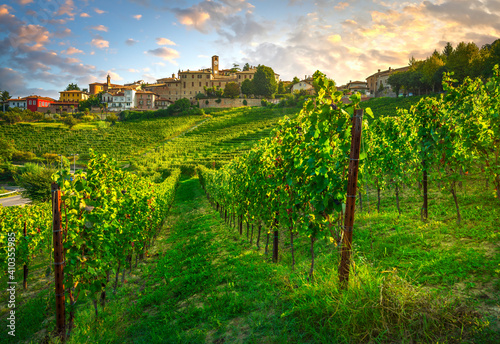 Neive village and Langhe vineyards  Piedmont  Italy Europe.