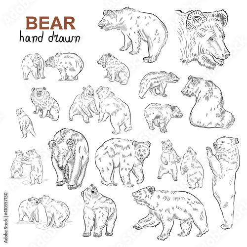 Sketch. Set of bears.  Hand drawn.