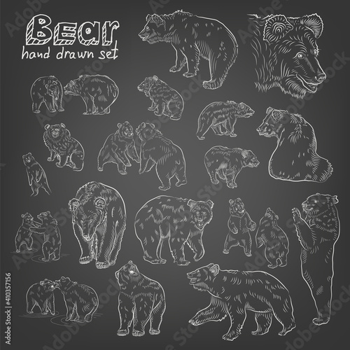 Sketch. Set of bears.  Hand drawn. Chalk style.