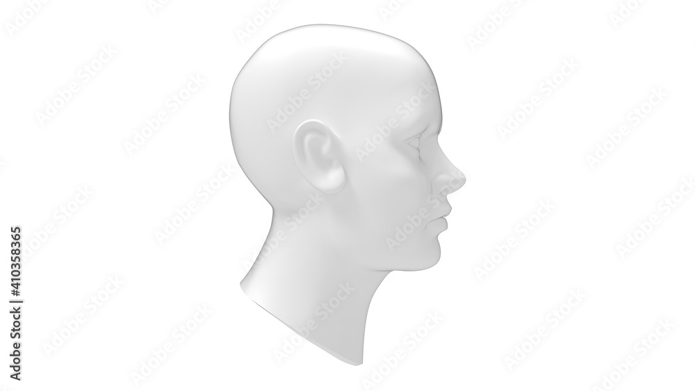 Female head mannequin 3D rendering isolated on a white background.