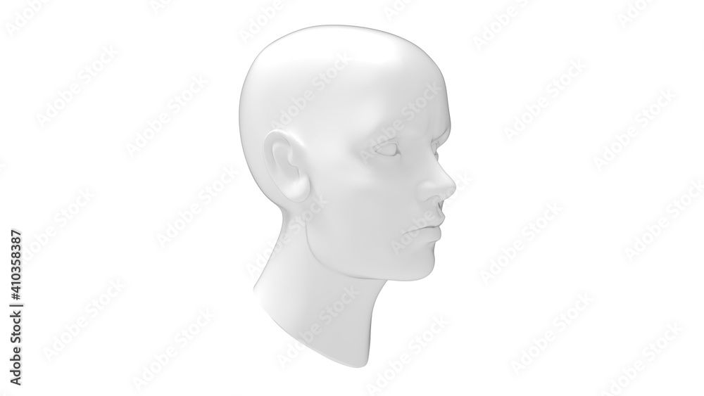 Female head mannequin 3D rendering isolated on a white background.