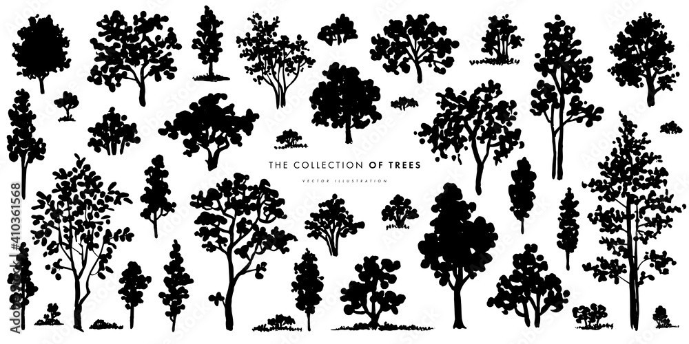 Trees sketch set. Hand drawn graphic forest. Vector illustration of different trees, shrubs and grass isolated on white background Trees sketch set. Hand drawn graphic forest. Vector illustration of different trees, shrubs and grass isolated on white background