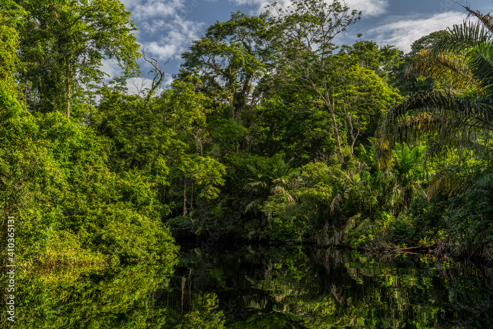 Canal in the national park of Tortuguero with its tropical rainforest along the Caribbean Coast of Costa Rica, Central America.