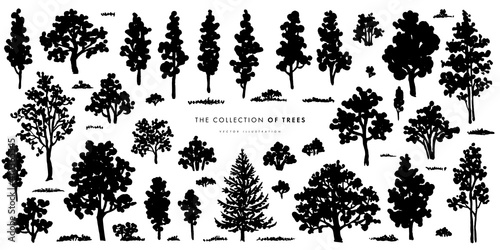 Trees sketch set. Hand drawn graphic forest. Vector illustration of different trees, shrubs and grass isolated on white background