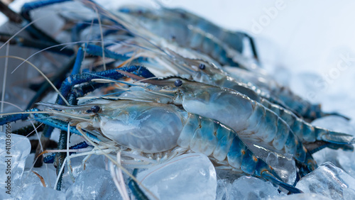 Fresh prawns are placed on top of ice cubes before being grilled over a charcoal fire. Kung Pao is a popular Thai grilled seafood dish. shrimp are frozen with ice It is a staple for seafood dishes.