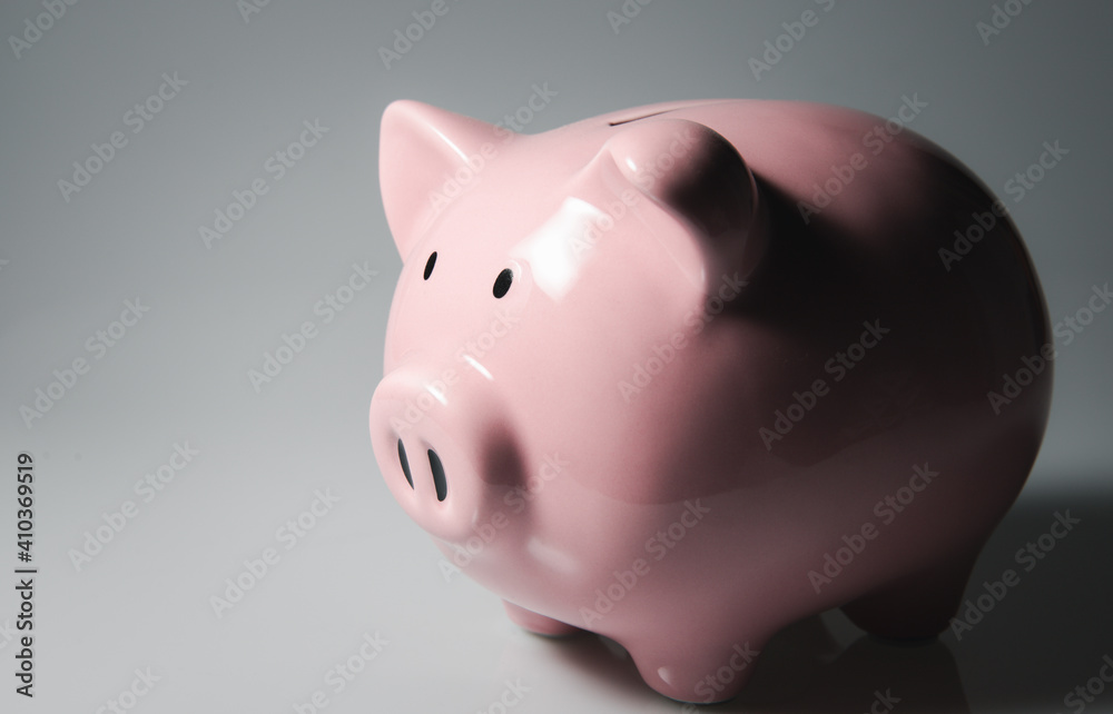 Close up Piggy bank for Finance, saving money and debtless concept