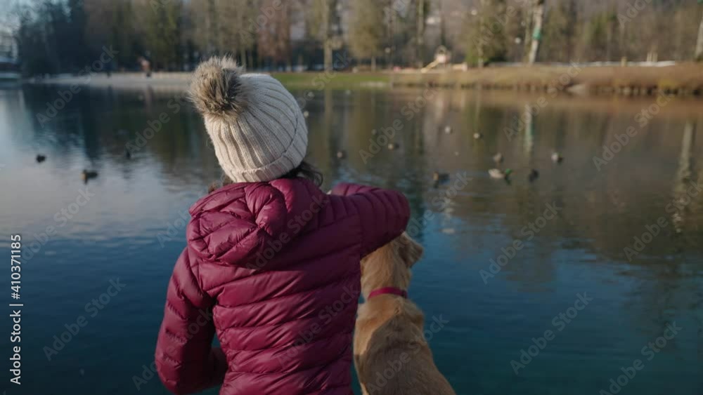 Woman With Her Pet Dog Throwing Food For Ducks On A Calm Lake At Park In Base de Loisirs du Lac Bleu During Winter In Morillon, France. - Medium, Slow Motion Woman With Her Pet Dog Throwing Food For Ducks On A Calm Lake At Park In Base de Loisirs du Lac Bleu During Winter In Morillon, France. - Medium, Slow Motion