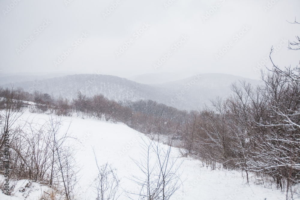 Winter snowy day. Beautiful winter nature landscape. Wintertime scene