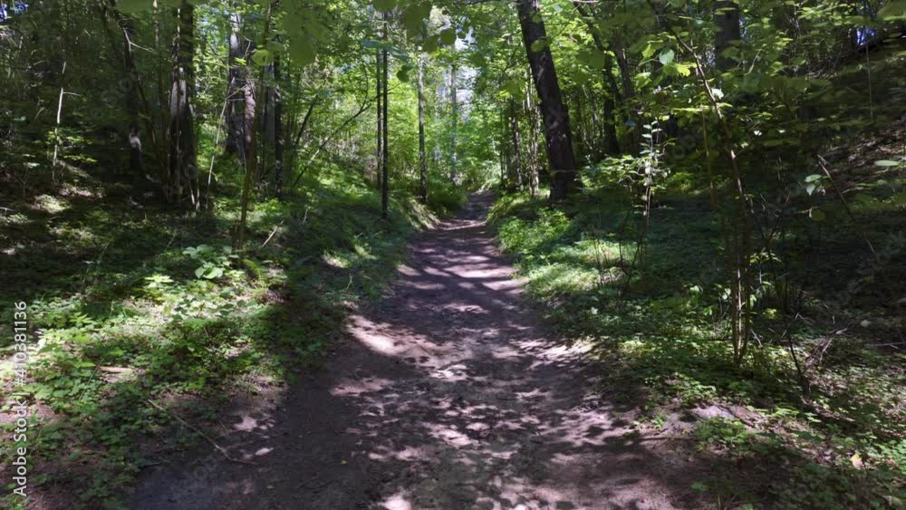 Walk through the forest in the Gauja National Park. The path between the trees goes up the hill. In the shade of trees on a sunny day. Latvia Walk through the forest in the Gauja National Park. The path between the trees goes up the hill. In the shade of trees on a sunny day. Latvia