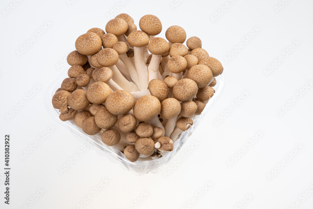 fresh brown beech mushroom isolated on white fresh brown beech mushroom isolated on white