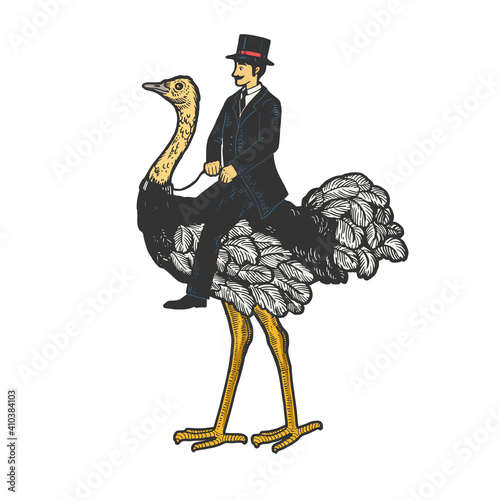 Old fashioned gentleman riding an ostrich color sketch engraving vector illustration. T-shirt apparel print design. Scratch board style imitation. Black and white hand drawn image.