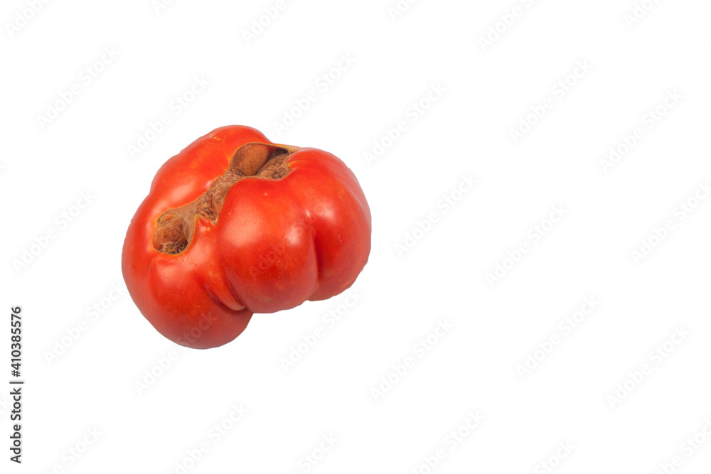 Ugly funny ripe tomato on a white isolated background. Copy space. Ugly funny ripe tomato on a white isolated background. Copy space.