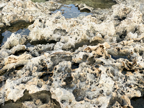Sand with holes on the seashore. Sandy rocks on the beach of Mediterranean sea. Rough surface background. photo