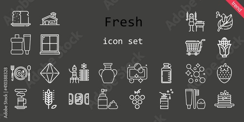 fresh icon set. line icon style. fresh related icons such as minerals, bread, foam, corn, strawberry, toothbrush, vase, bottle, pancakes, grape, windows, leaf, cold water, trolley, toothpaste