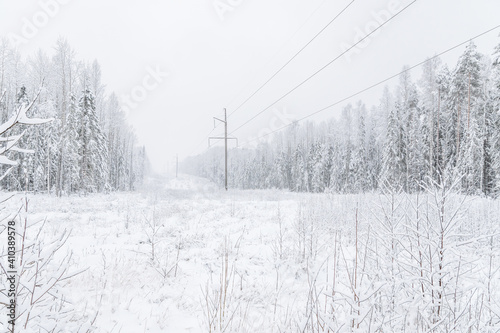 power line in the forest. Winter