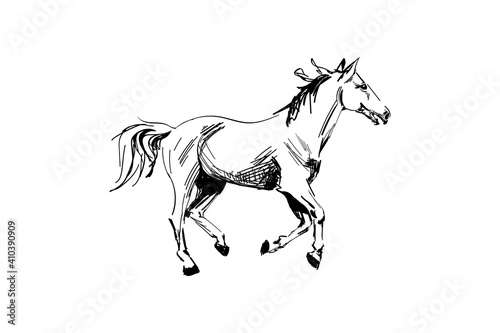 Horse hand drawn sketch. Running horse black graphic sketch isolated on white background. Vector illustration