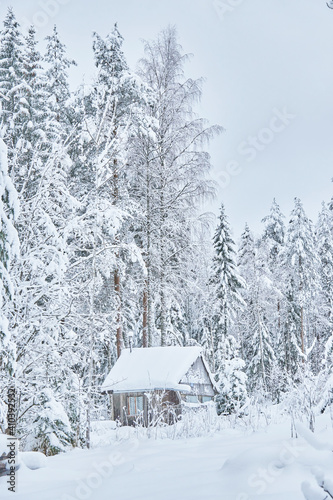 frame house in the forest in winter