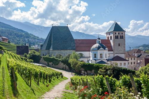 The vineyards of the Novacella Abbey, located near Varna, is the largest convent complex in the whole of South Tyrol  photo