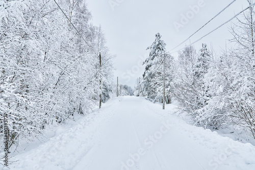 road in the forest. winter