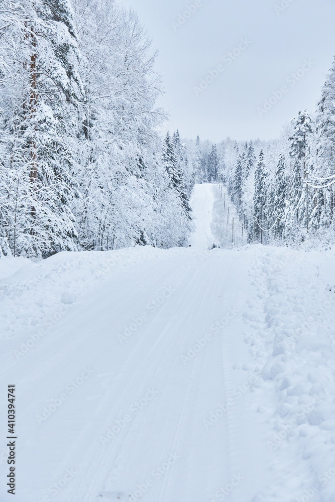 road in the forest. winter