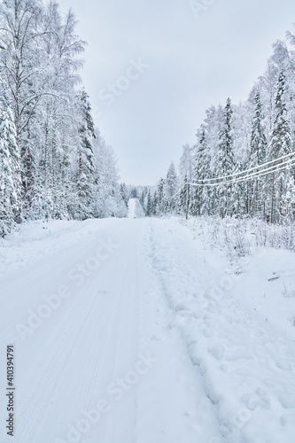 road in the forest. winter © enskanto