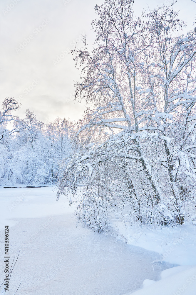 Fototapeta premium frozen river. snowy beautiful winter