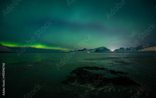 Aurora Borealis lights over Lofoten Islands in Norway © Adrian
