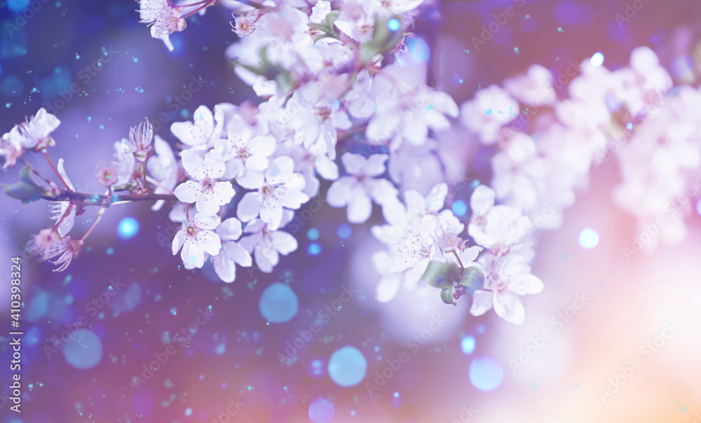 Closeup view of blossoming tree outdoors on spring day