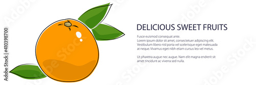 Citrus pomelo banner , tropical fruit Grapefruit isolated on white background, vector illustration