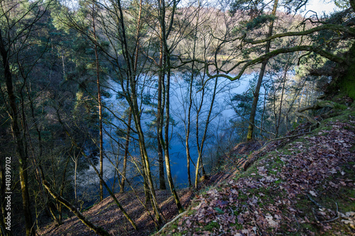 Fototapeta Naklejka Na Ścianę i Meble -  the water through the trees
