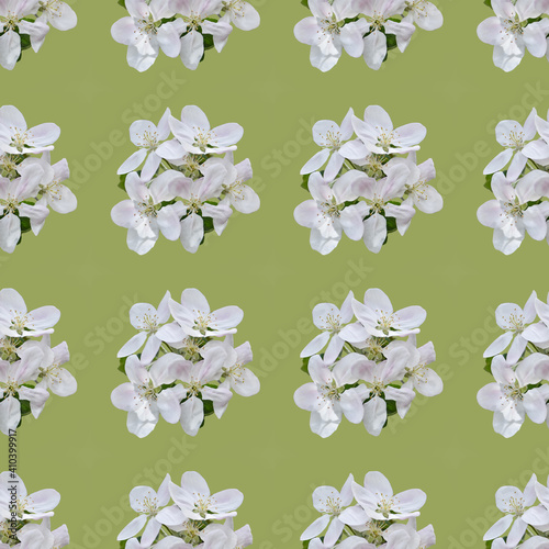 Seamless pattern spring flower composition, white colored apple flowers.