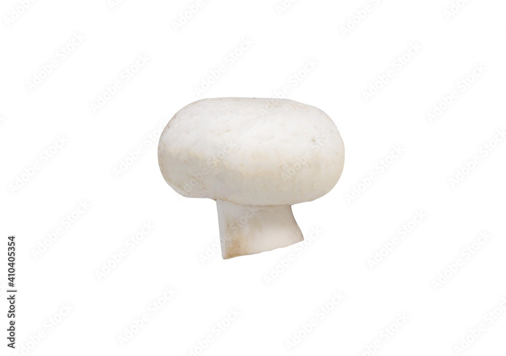 Fresh Champignon isolated on white Fresh Champignon isolated on white