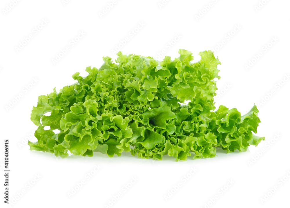 lettuce leaves isolated on white background. lettuce leaves isolated on white background.