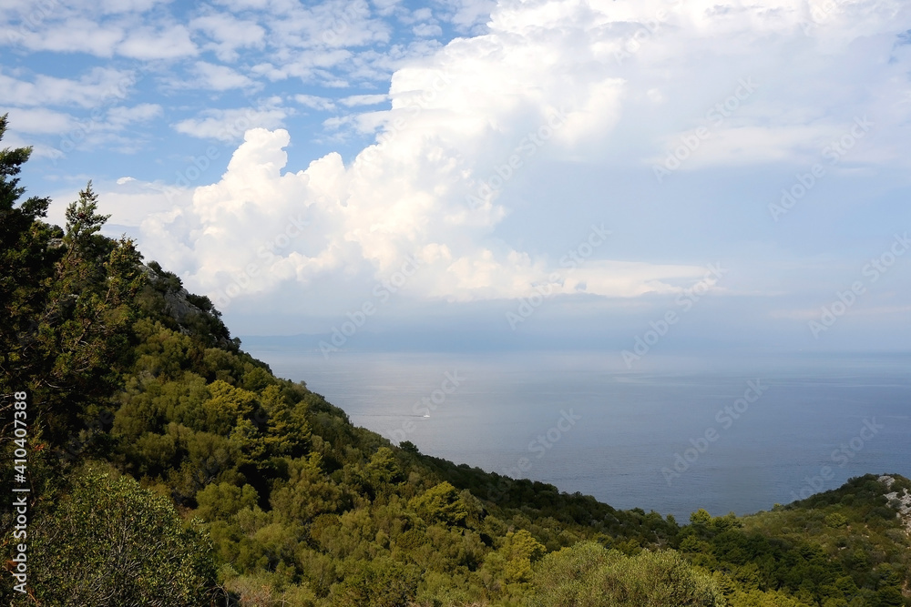 Olive and pine trees, sea and clouds. Beautiful Mediterranean landscape on island Lastovo, Croatia.