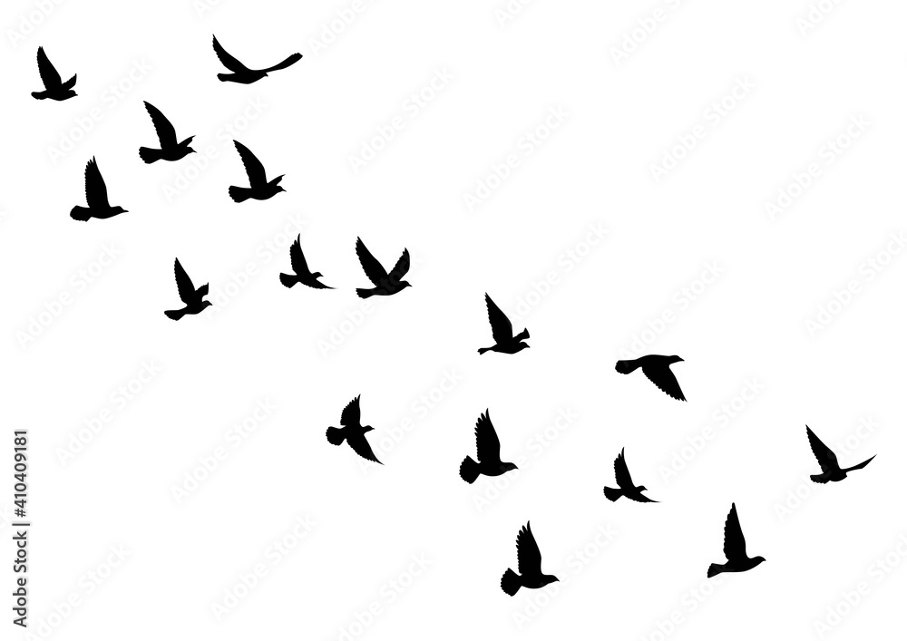 Flying birds silhouettes on white background. Vector illustration. isolated bird flying. tattoo design. Flying birds silhouettes on white background. Vector illustration. isolated bird flying. tattoo design.