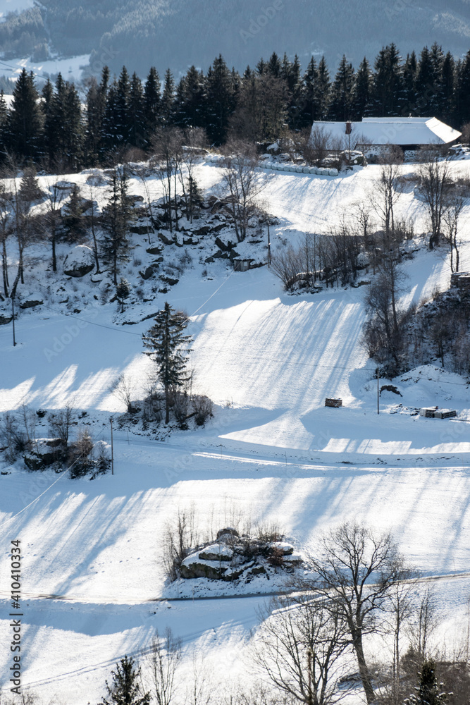 Fototapeta premium Schneelandschaft