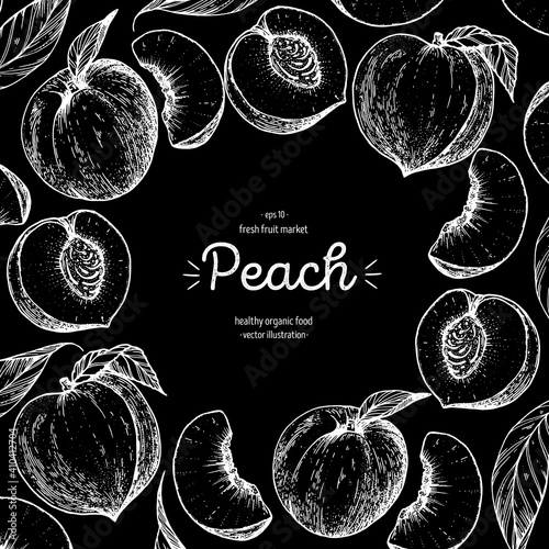 Peach fruit sketch frame, hand drawn vector illustration. Peach design template . Peach fruit hand drawing