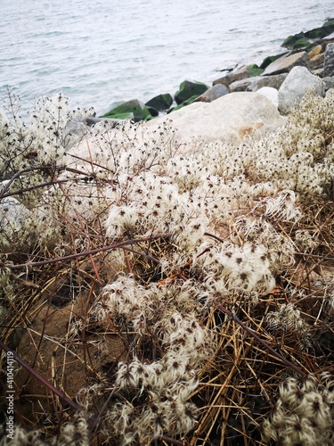 Ostsee - Binz - Strand