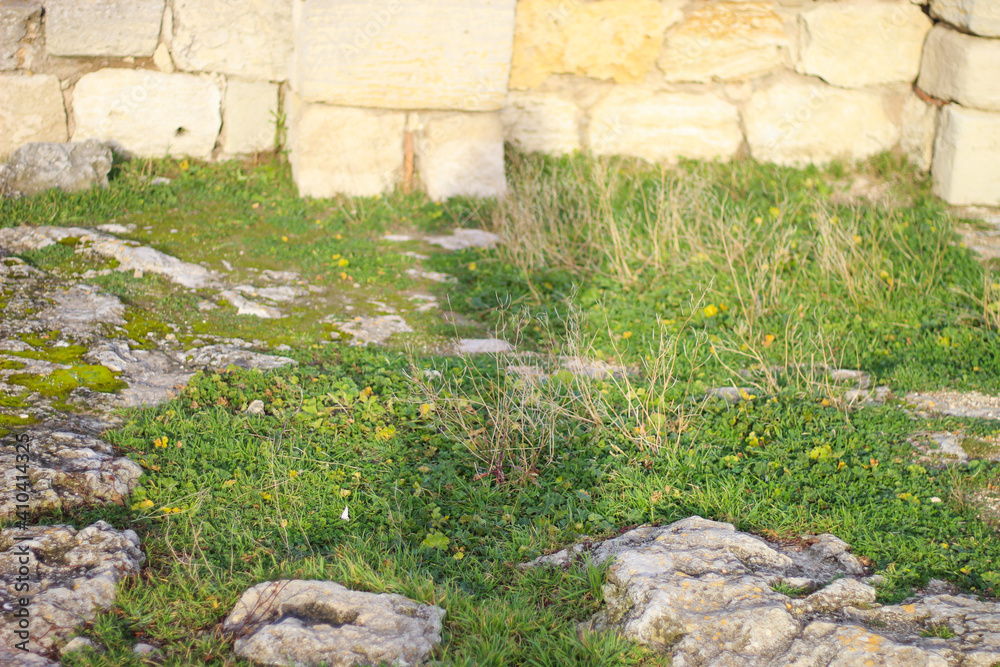 Ruins of an ancient Greek city by the sea. Chersonesos. The ancient city. Black Sea.
Ruins of an ancient Greek city by the sea. Chersonesos. The ancient city. Black Sea.