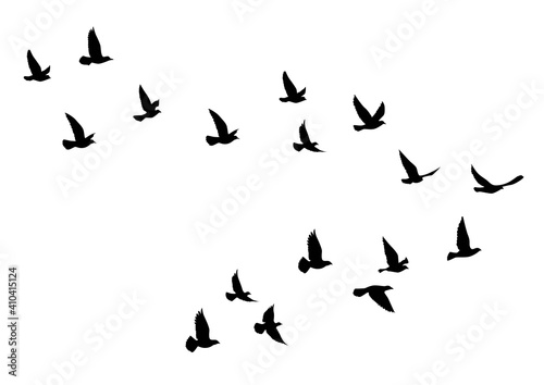 Flying birds silhouettes on white background. Vector illustration. isolated bird flying. tattoo design.