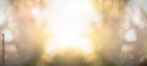 Abstract background of branches in the sun. Copy space. © scharfsinn86