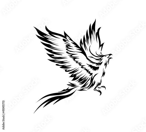 phoenix hand drawn art illustrations