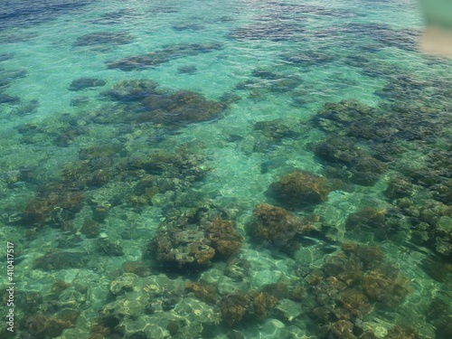 coral reef and sea