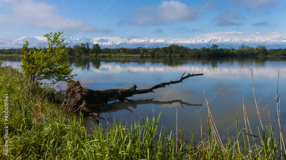 a lone driftwood is reflected in the lake against the background of the forest and mountains a lone driftwood is reflected in the lake against the background of the forest and mountains